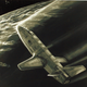 Image for article titled This concept art from the Shuttle Program's early days is gorgeous, deliciously retro